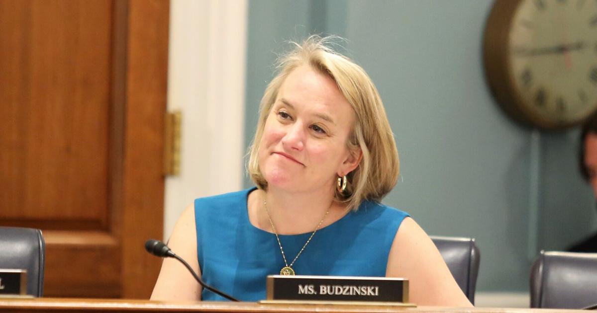 US Rep. Nikki Budzinski goes to bat for Down syndrome families