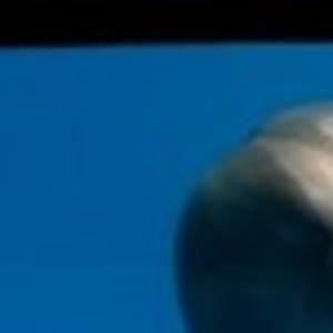Florida Aquarium Begins New Baby Dolphin Saga Pets Stltoday Com