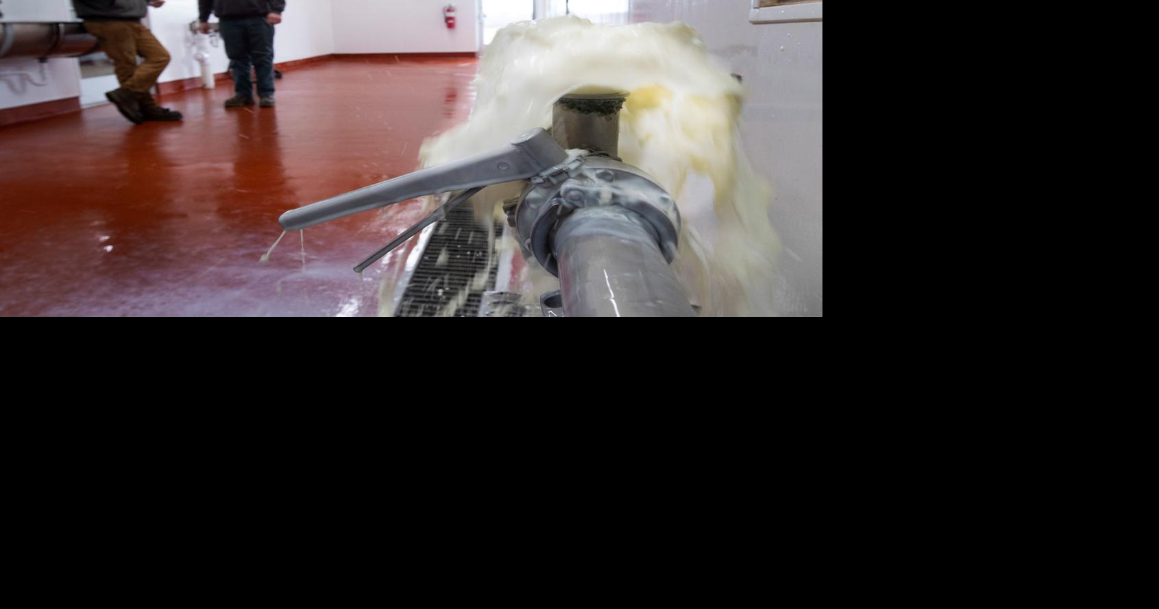 U.S. dairy farmers dump milk as pandemic upends food markets