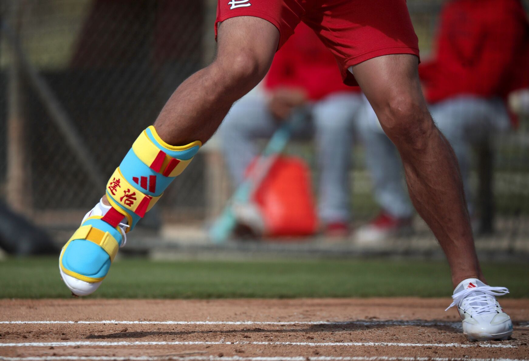 67b4ae326c269.preview.jpg?crop