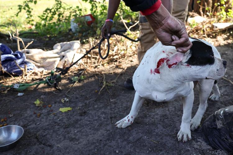 In the aftermath of the tornado, Larry Gray feeds his north �����Ӱ�ԭ�� neighbors