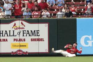 Cardinals host Royals