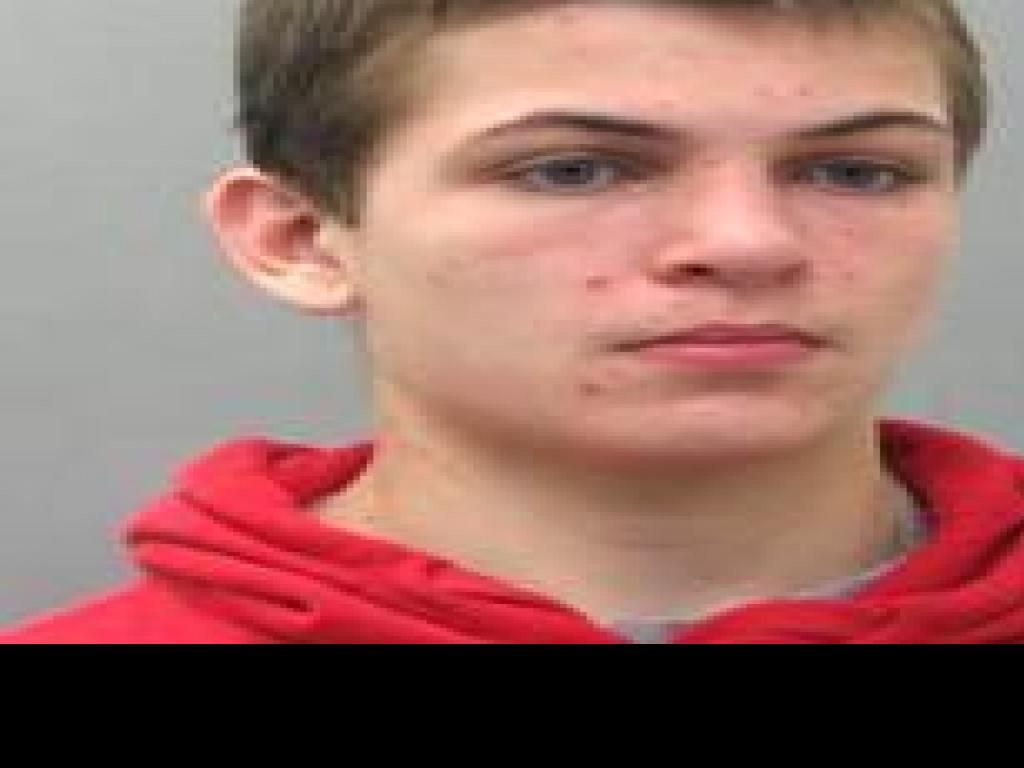 Craigslist Helps Police Nab Teen After Golf Club Thefts In South St Louis County Law And Order Stltoday Com
