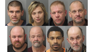 Car theft indictments