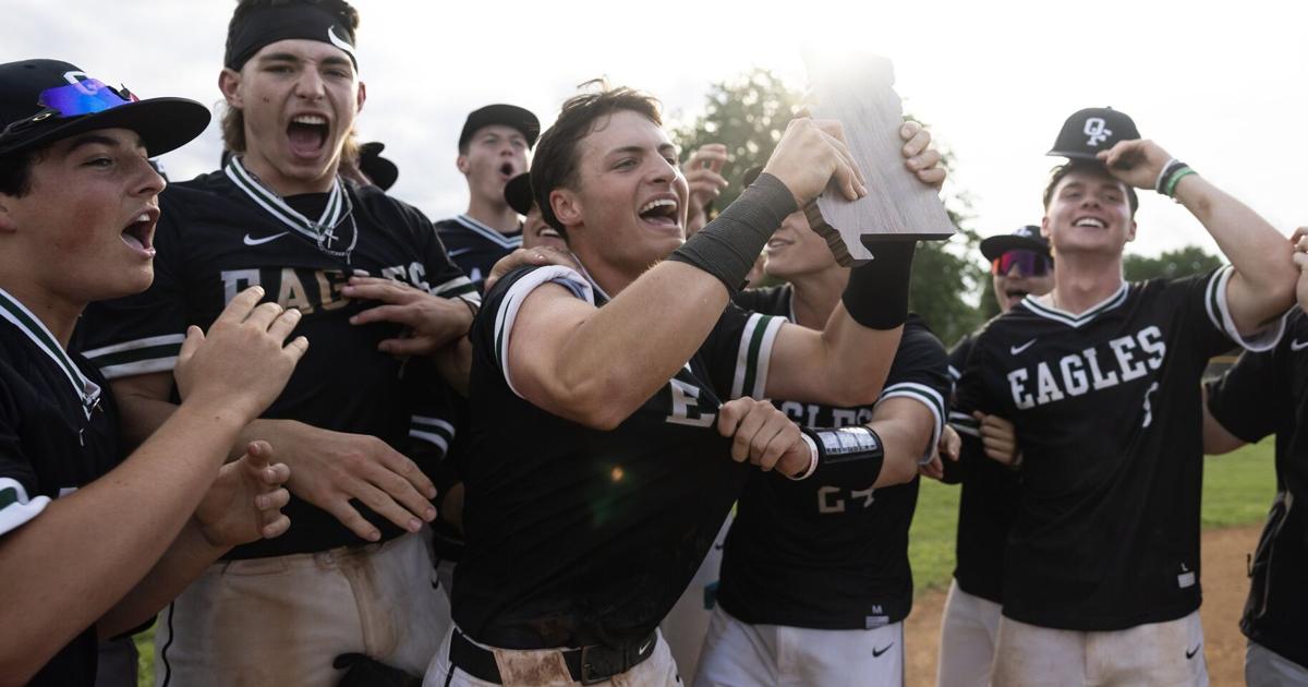 Graham Rollins' walkoff single sends Orchard Farm past St ...