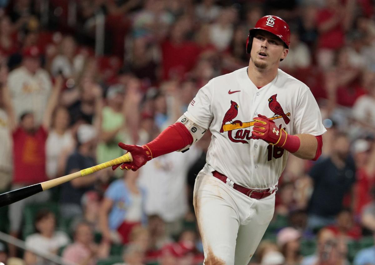 St. Louis Cardinals on X: Gormania is in full effect! Nolan