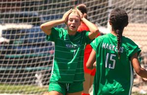 Nerinx Hall vs. O'Fallon girls soccer