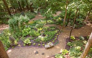 The best garden in St. Louis? Our judges named this Chesterfield one the winner