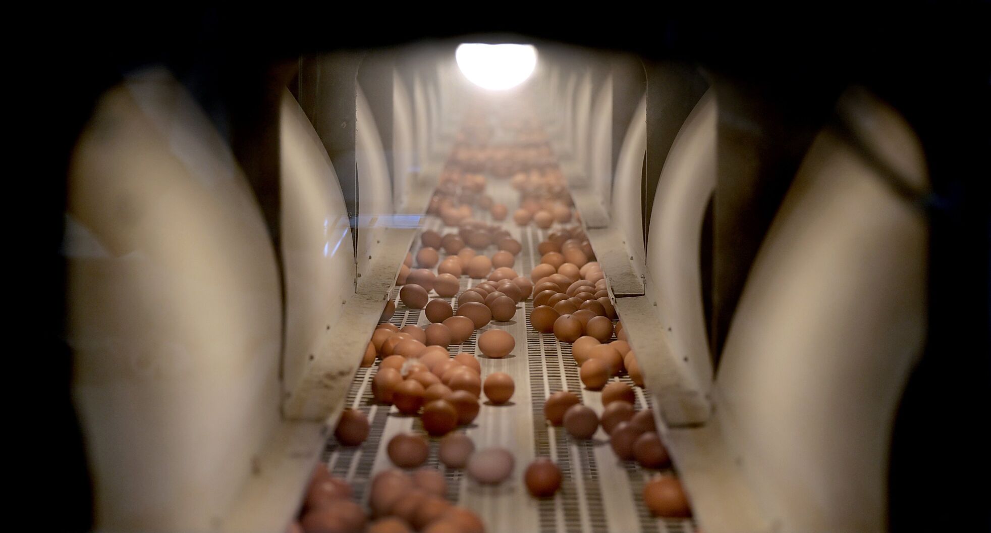 The Egg Basket in Macedonia