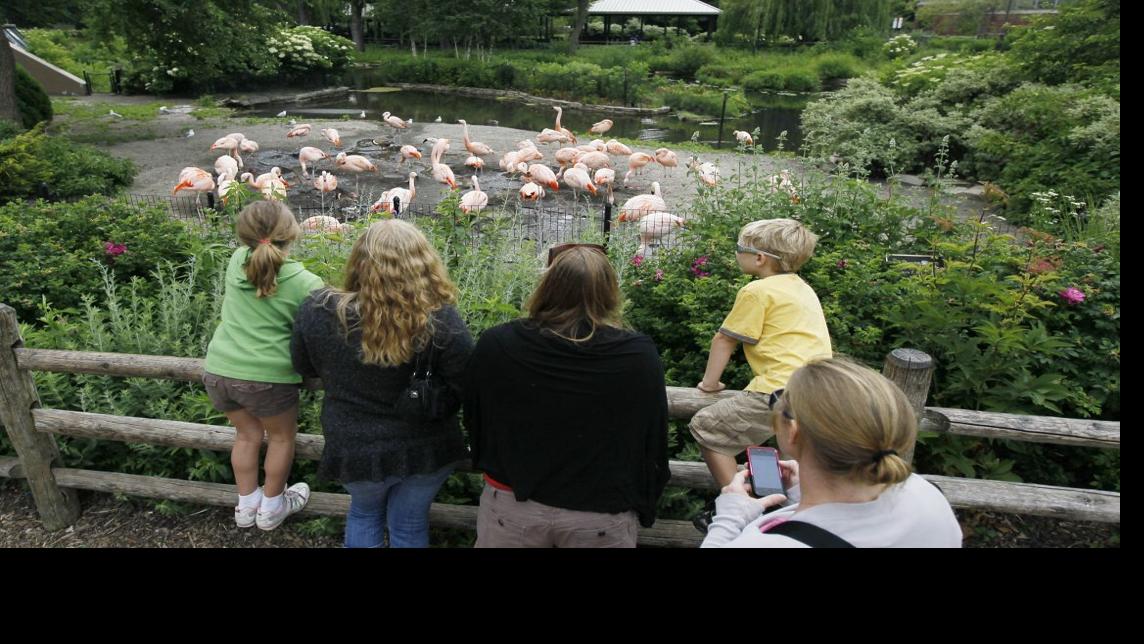 How does the St. Louis Zoo stack up by the numbers? | Metro | www.semadata.org