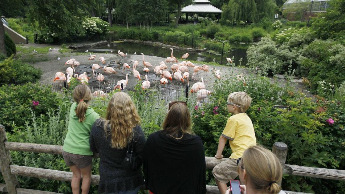 How does the St. Louis Zoo stack up by the numbers? | Metro | literacybasics.ca