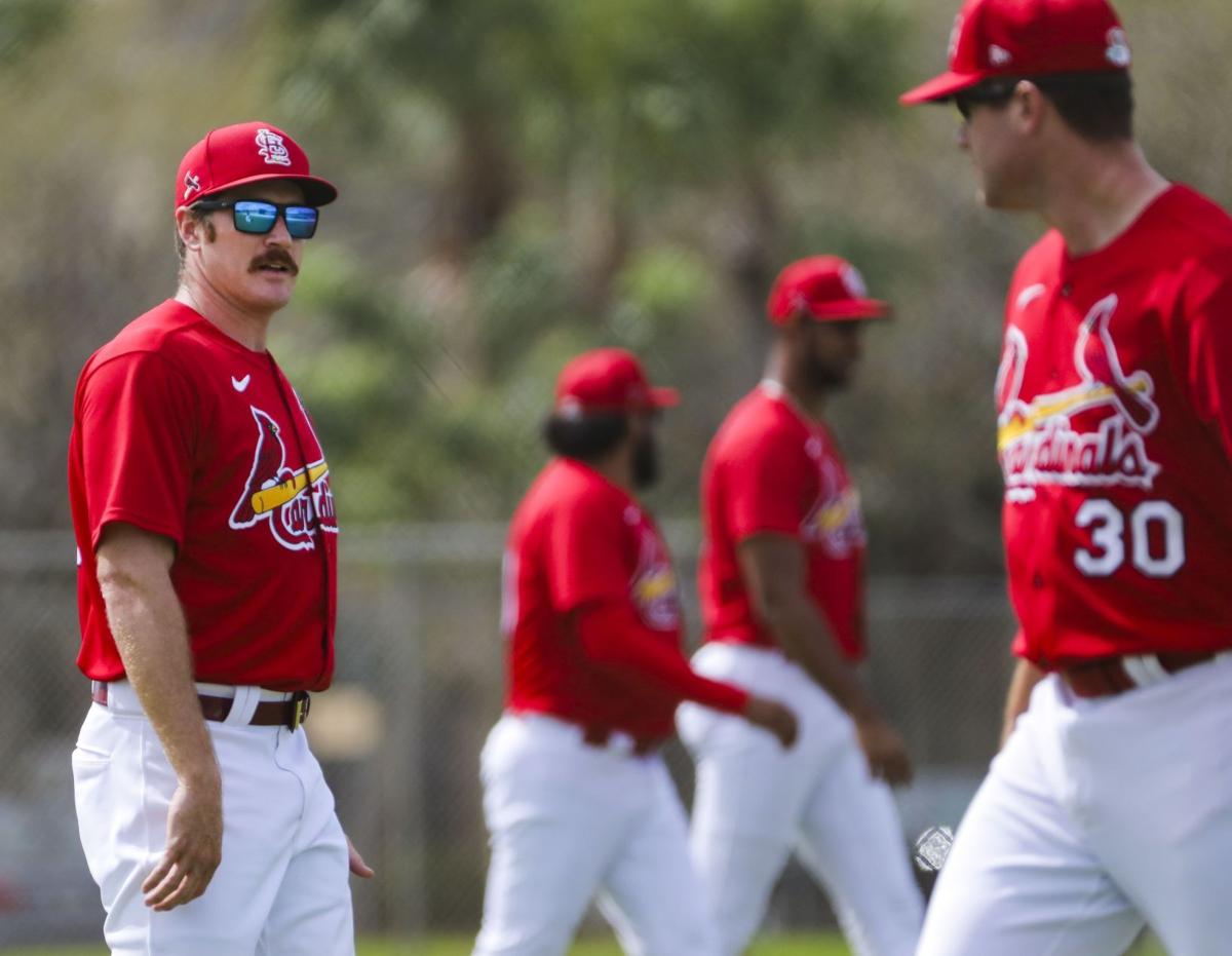 Miles Mikolas Is Anchoring the Rotation - An Open Thread - Viva El