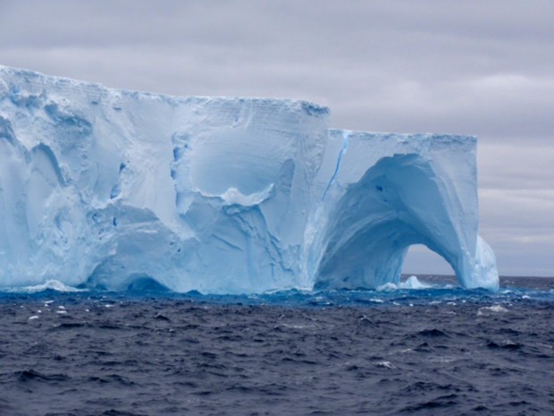 Maryville Family Spent Christmas Vacation In Antarctica