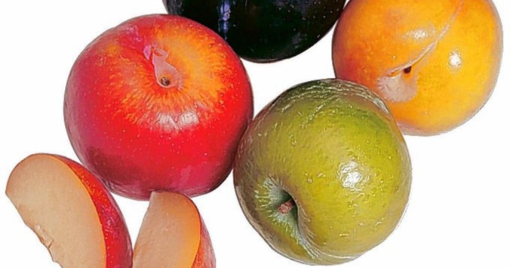 Plums come in a variety of shapes, sizes