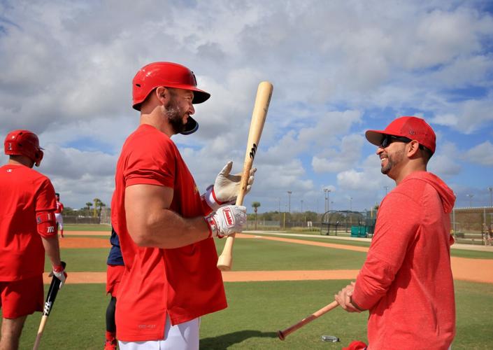 Cardinals must balance preparation for MLB season and WBC as spring