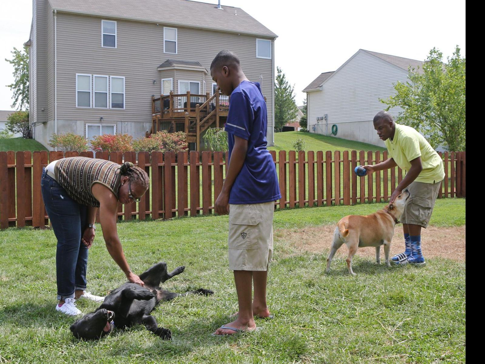 Tension Escalates In A St Charles County Subdivision After A New Neighbor Moves In Metro Stltoday Com