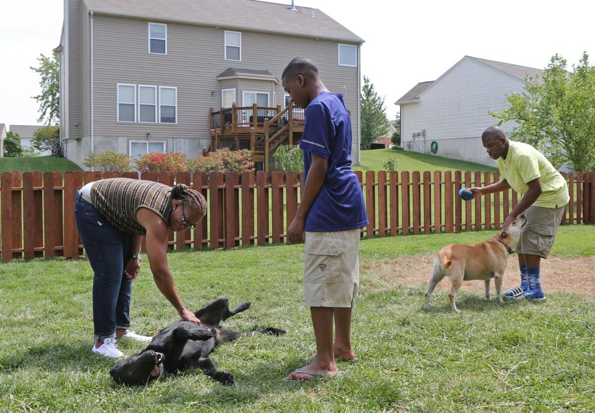 Tension Escalates In A St Charles County Subdivision After A New Neighbor Moves In Metro Stltoday Com