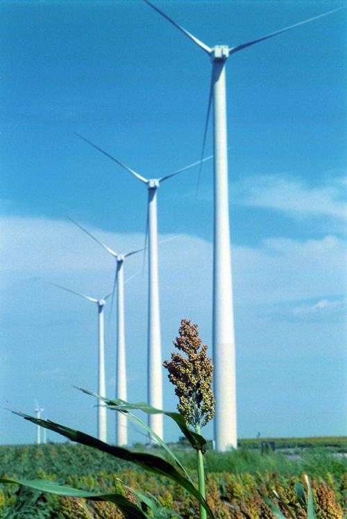 WIND FARM