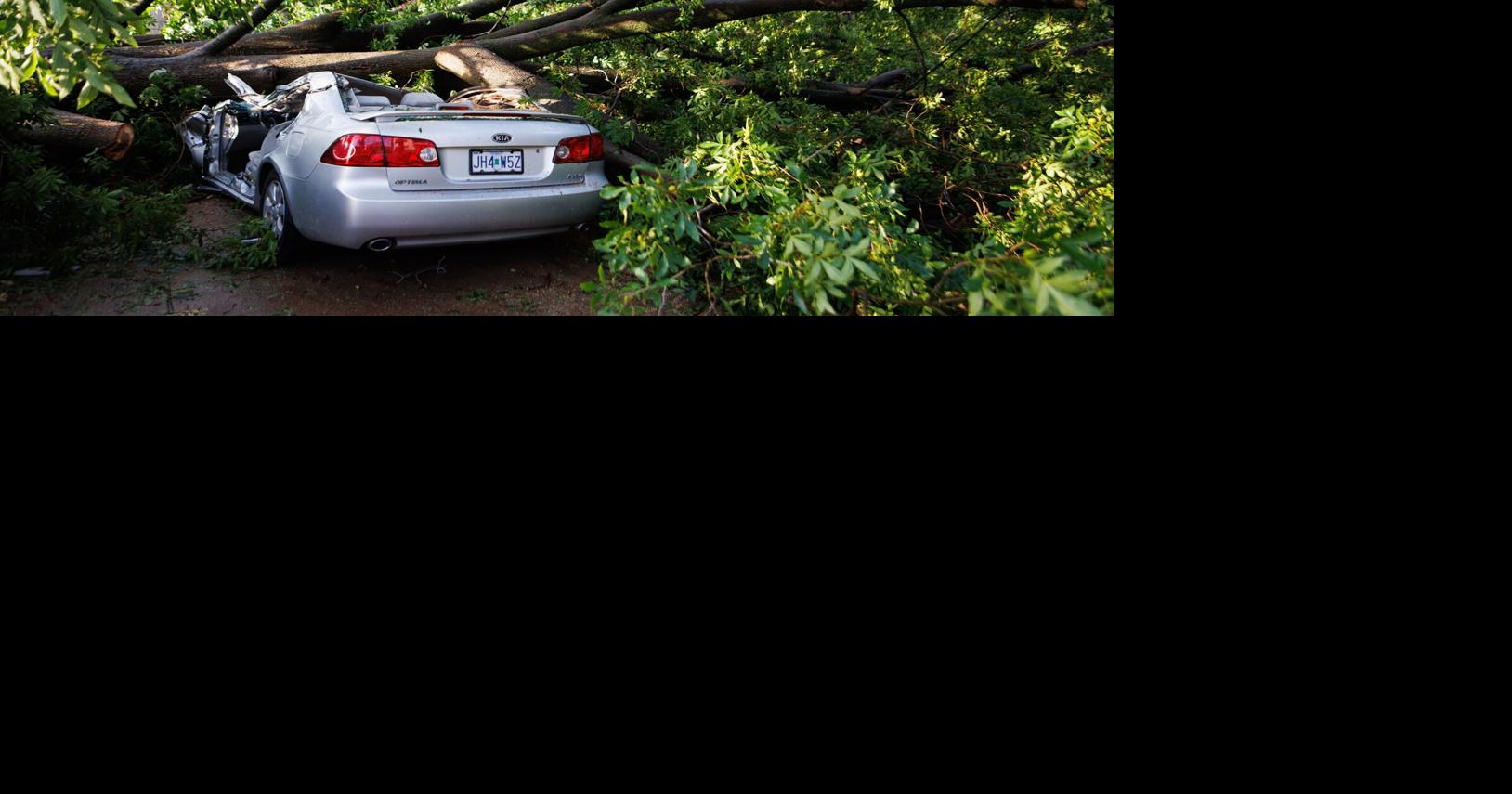 Police identify woman who died after tree limb crushes her car during ...
