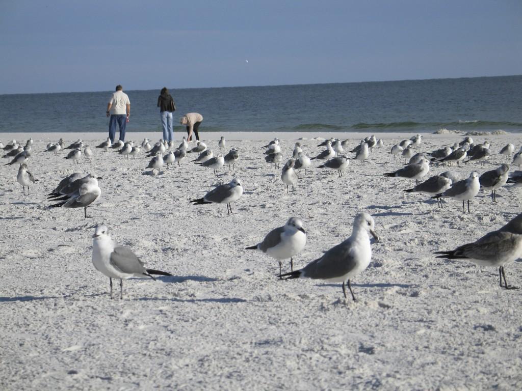Fall In Love With Alabama S Gulf Coast Travel Stltoday Com