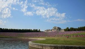 Flags of Valor memorial covers Art Hill in Forest Park