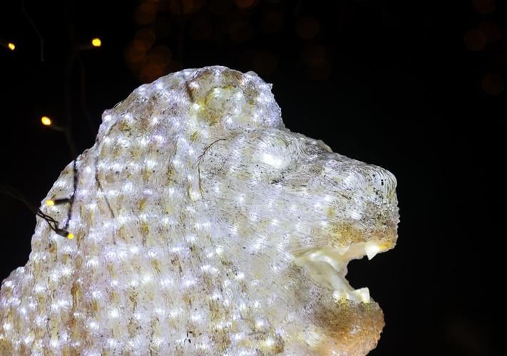 Holiday lights in the Ӱԭ area