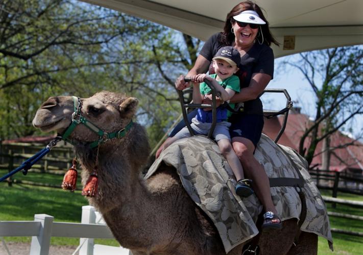 Grant Farm's opens for 62nd season
