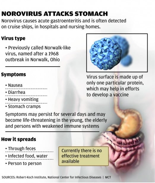 Types Of Stomach Viruses