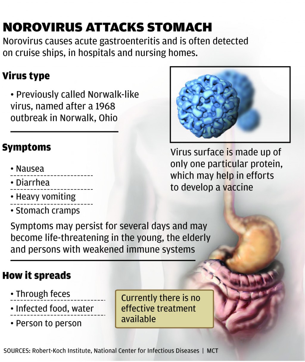 Stomach Virus Spreads Around St Louis Health Stltoday Com   511297d1e7e39.preview 1024 