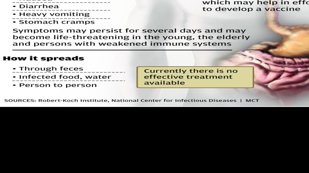 Stomach Virus Spreads Around St Louis Health Stltoday Com