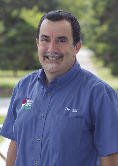 Migneco - MVMA Vice President