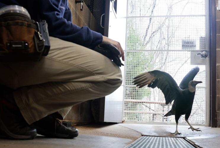 51���� Zoo’s Destination Discovery taking shape