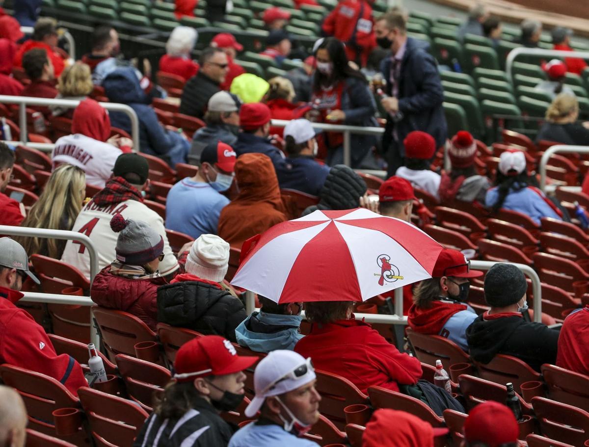 Cardinals Fan Capacity Could Approach 30 Cardinals Fan Capacity Could Approach 30