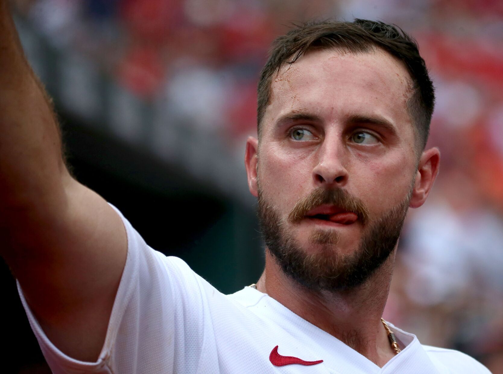 What Went Wrong For Paul DeJong In 2022? He, John Mozeliak, Oliver ...