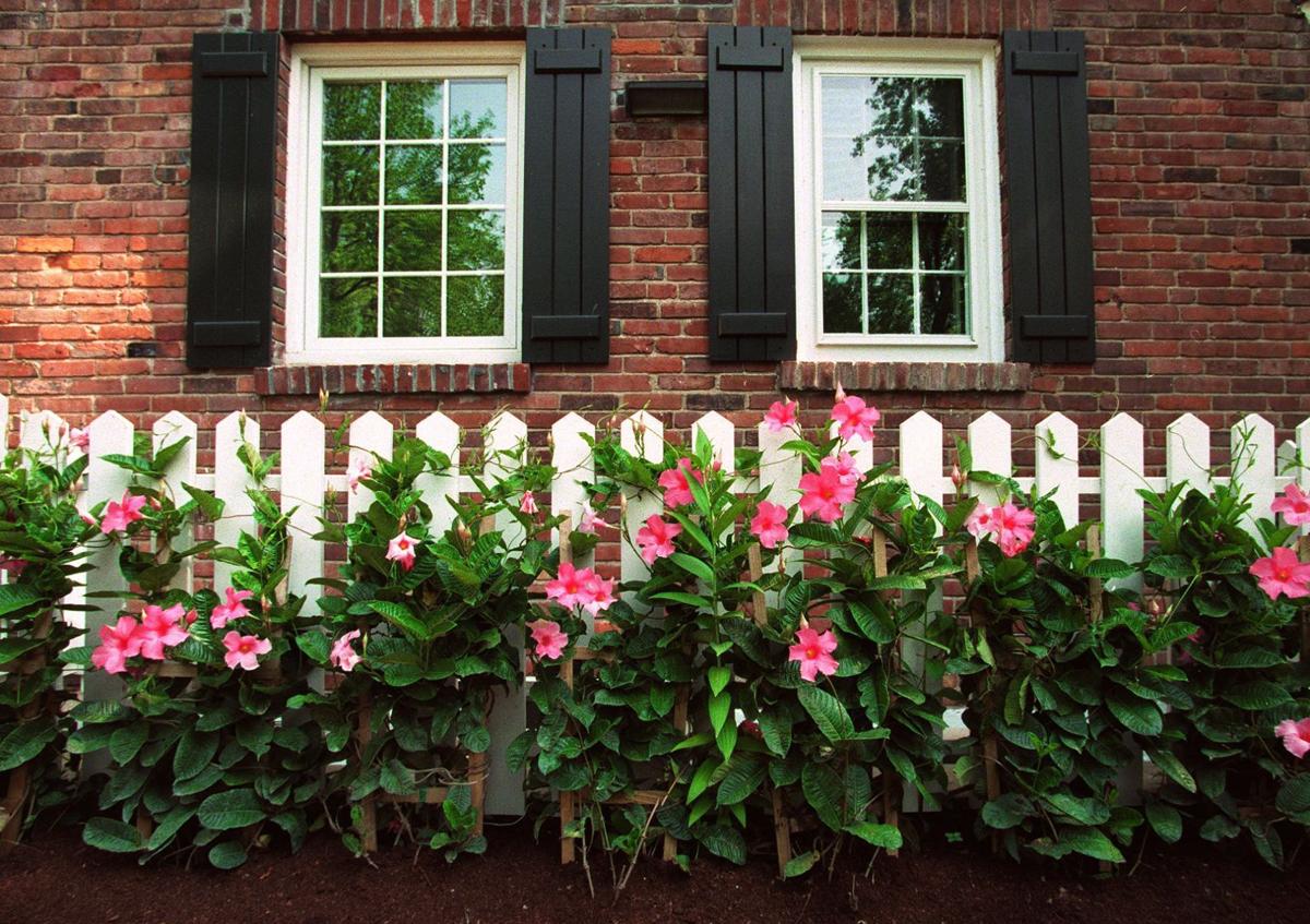 LS JN LADUE GARDEN