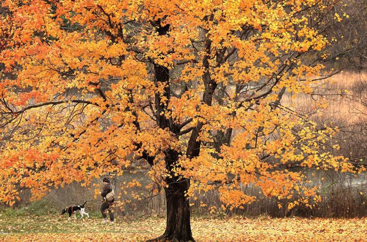 Fall colors linger amid warm temperatures