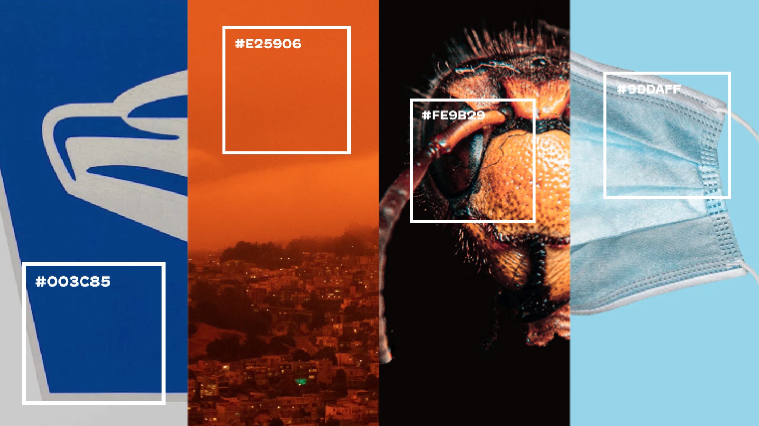 Color us trendy: Murder hornet amber, plus other hot shades for 2020