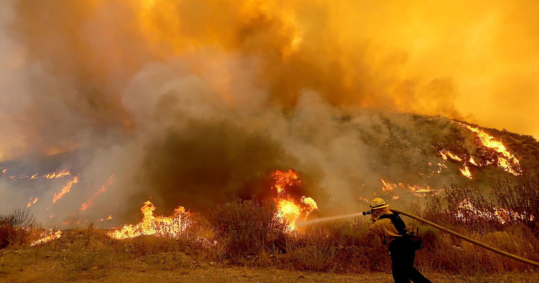 US Air Force contracts with St. Louis' WingXpand detect and prevent wildfires - Vimarsana News
