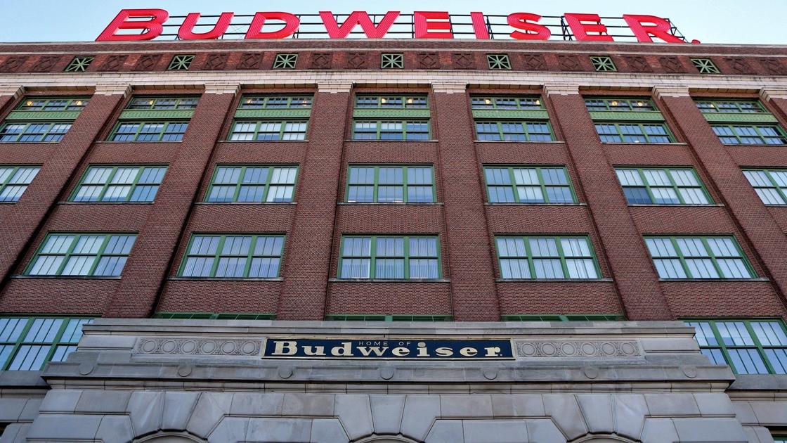 A-B InBev raises forecast after Brazil drives surprise profit rise | Local Business A-B InBev raises forecast after Brazil drives surprise profit rise | Local Business
