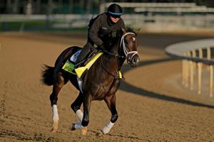 Forte is slight 5-2 favorite for Belmont Stakes