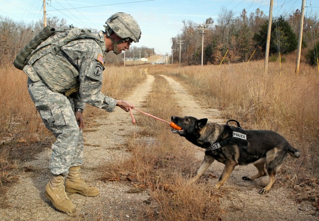 How dogs detect bombs better than devices