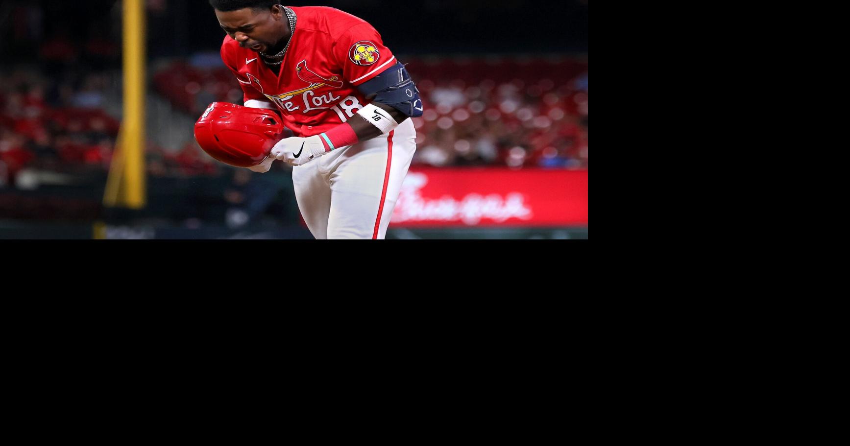 Photos: St. Louis Cardinals vs Cincinnati Reds