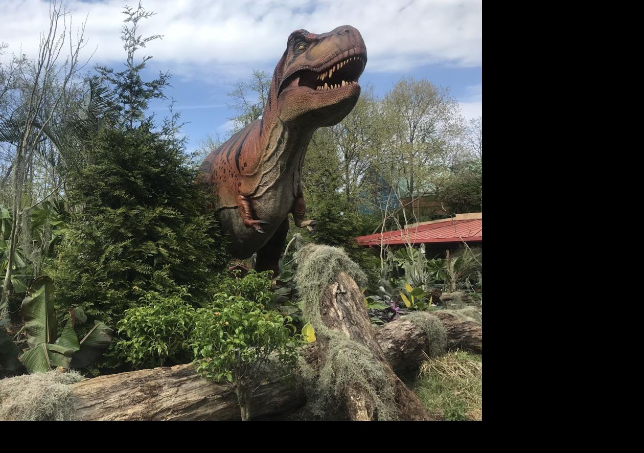 zoo and dinosaur park