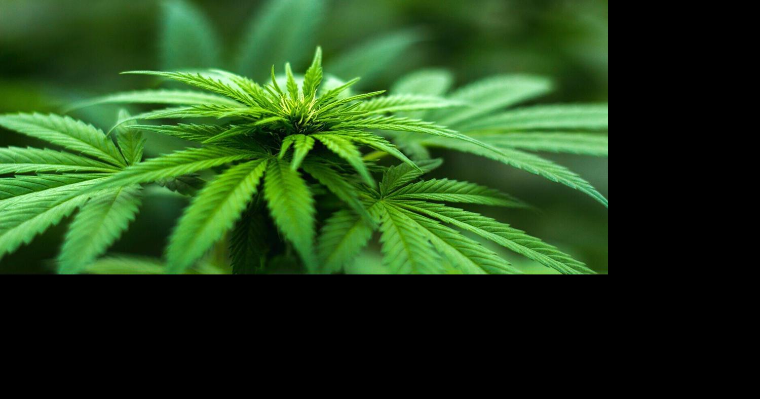 Green Precision Sues 1913 Carrollton Over Unpaid Testing Fees
