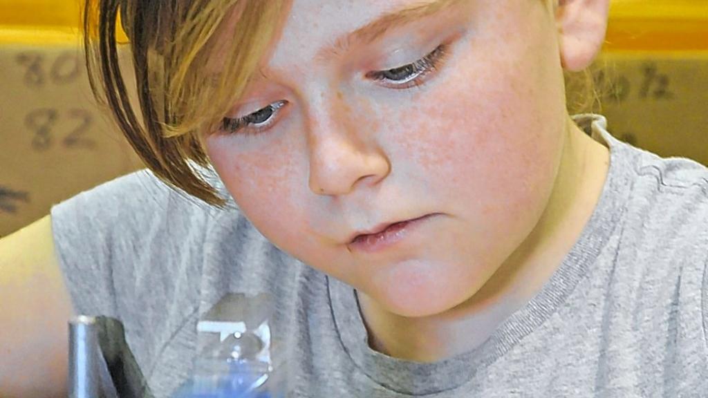 PHOTOS Collinsville Woodworking Show Life News from PHOTOS Collinsville Woodworking Show Life News from