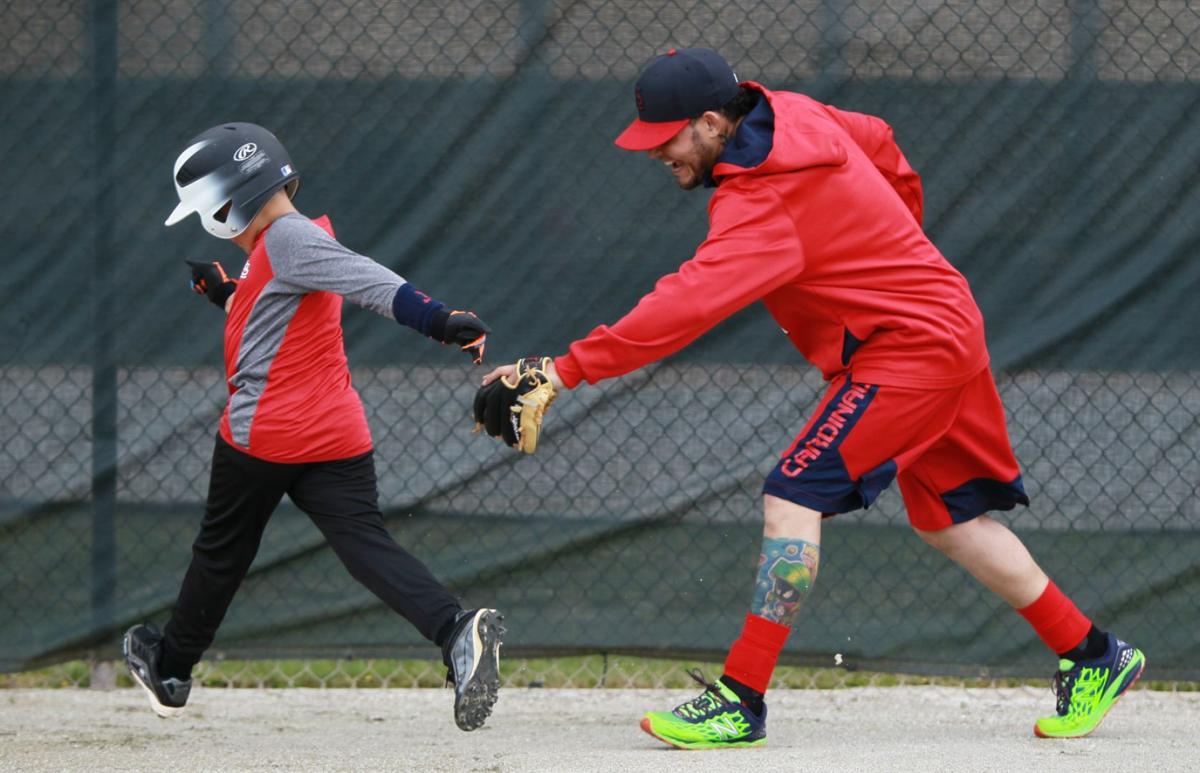 Cardinals spring training