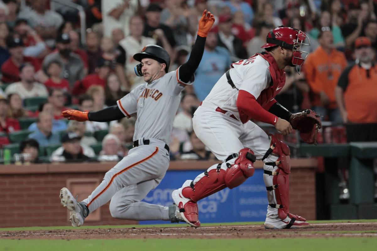 Giants push Cardinals to brink of elimination with win in Game 4 of NLCS –  Greeley Tribune