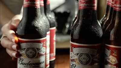 Budweiser Beer