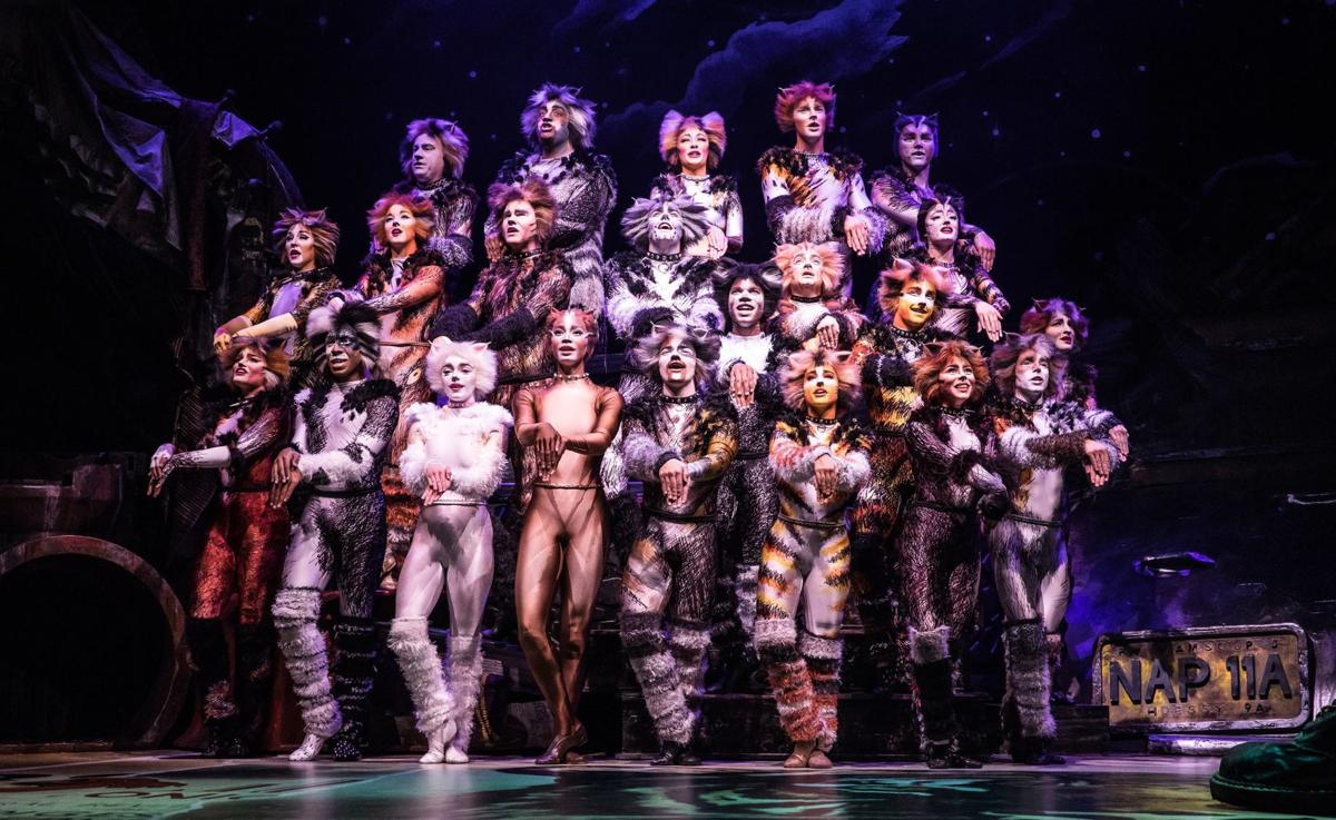 Cats Tour At Fox Theatre Delayed Due To Pandemic Arts And