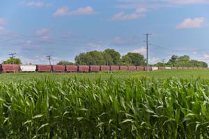 Motive Railroad Grain Haul To Primient Elevator In Heyworth, IL
